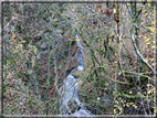 foto Da Rocca di Arsie al Col di Baio